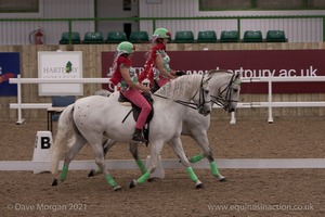 Lusitano Breed Society of Great Britain Show - Hartpury College - 27th June 2009